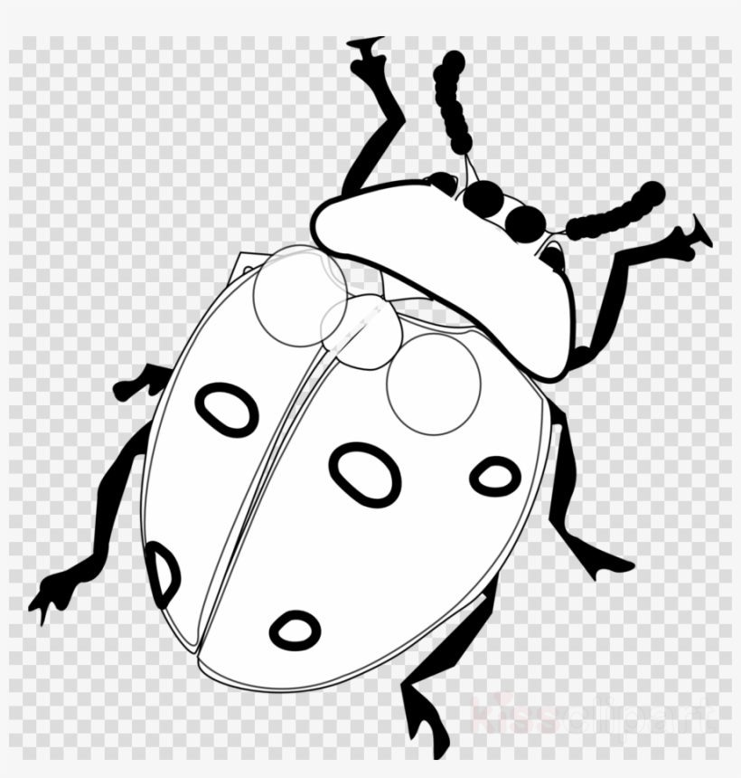 Ladybug Black And White Clipart Lucky Ladybug Ladybird - Ladybird Black And White Clipart, transparent png download