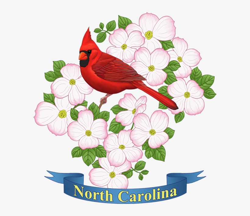 Click And Drag To Re-position The Image, If Desired - North Carolina State Bird And Flower, transparent png download