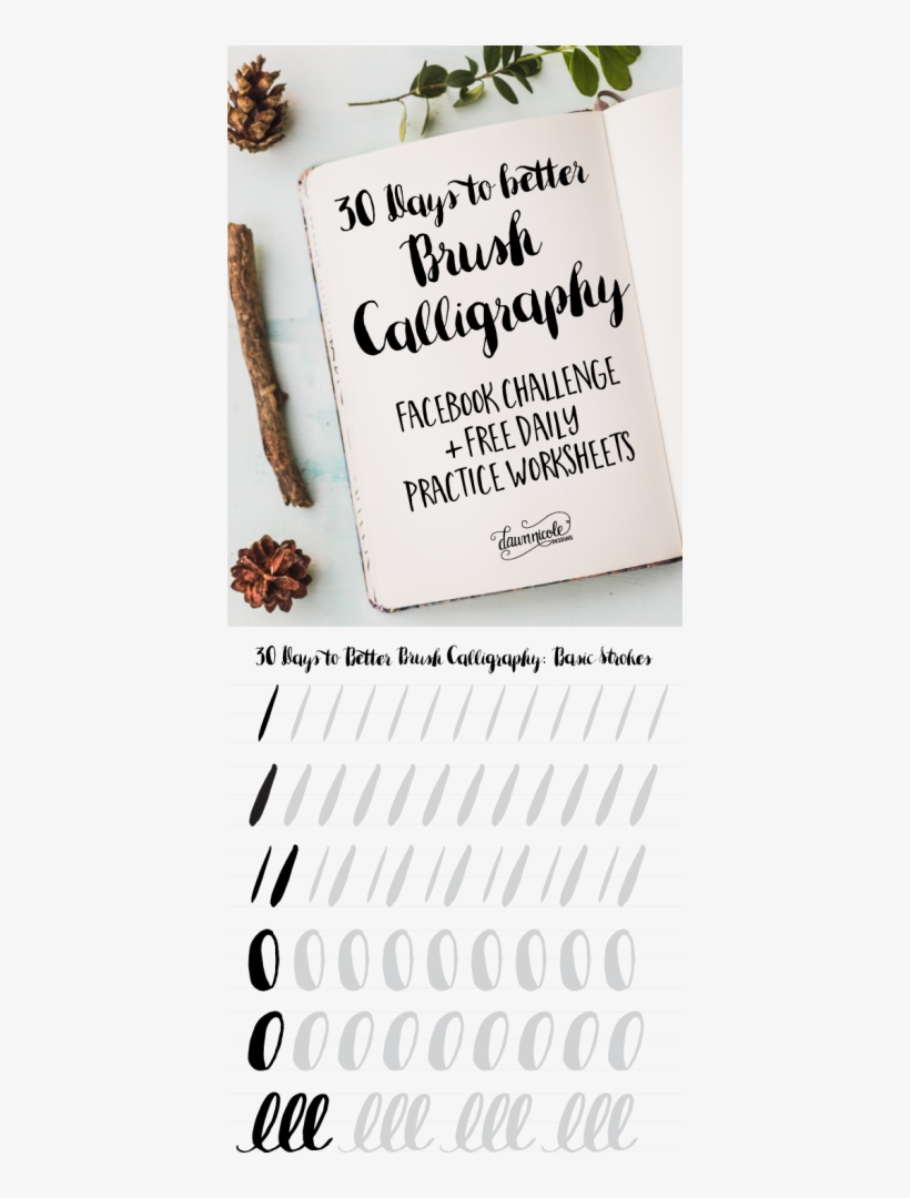 30 Days To Better Brush Calligraphy Facebook Challenge - Better Calligraphy, transparent png download
