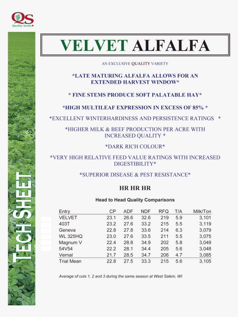 Velvet-alfalfa - Alfalfa, transparent png download