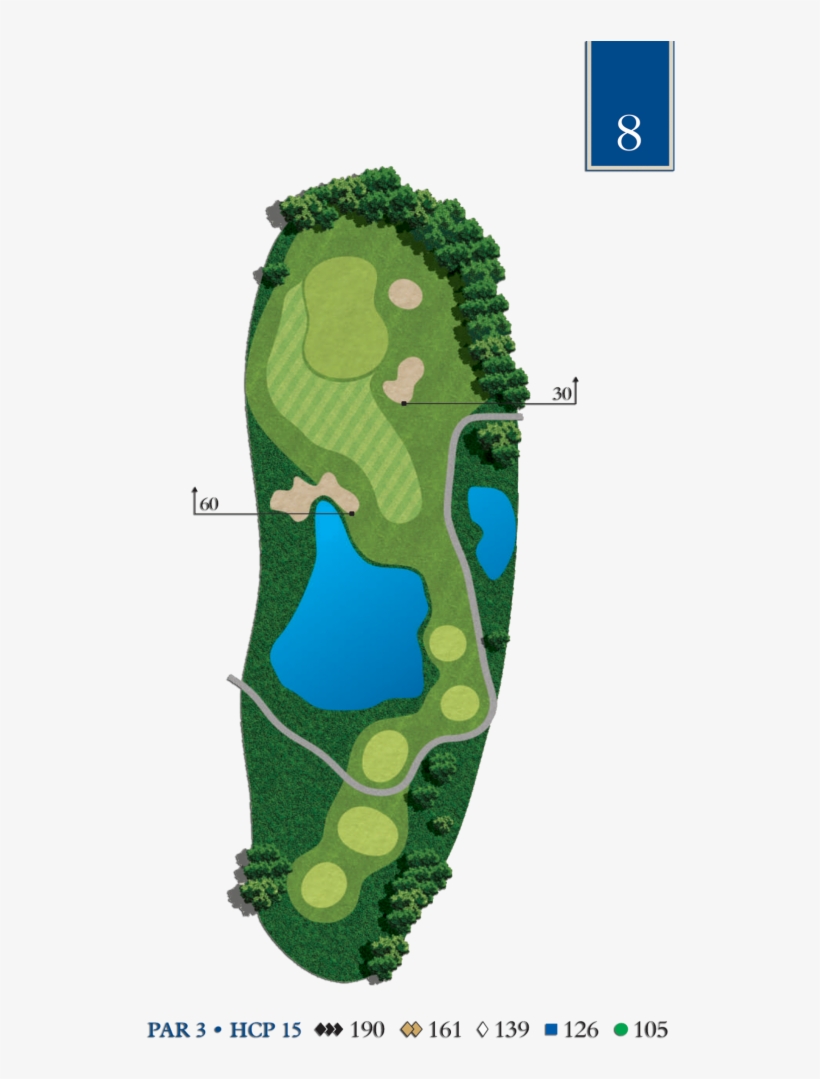 Hole 8 - Alligator, transparent png download