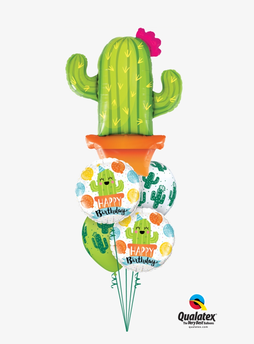 Little Cacti Birthday Guy - 06" Qualatex Latex Quicklink Orange 50 Count - Latex, transparent png download