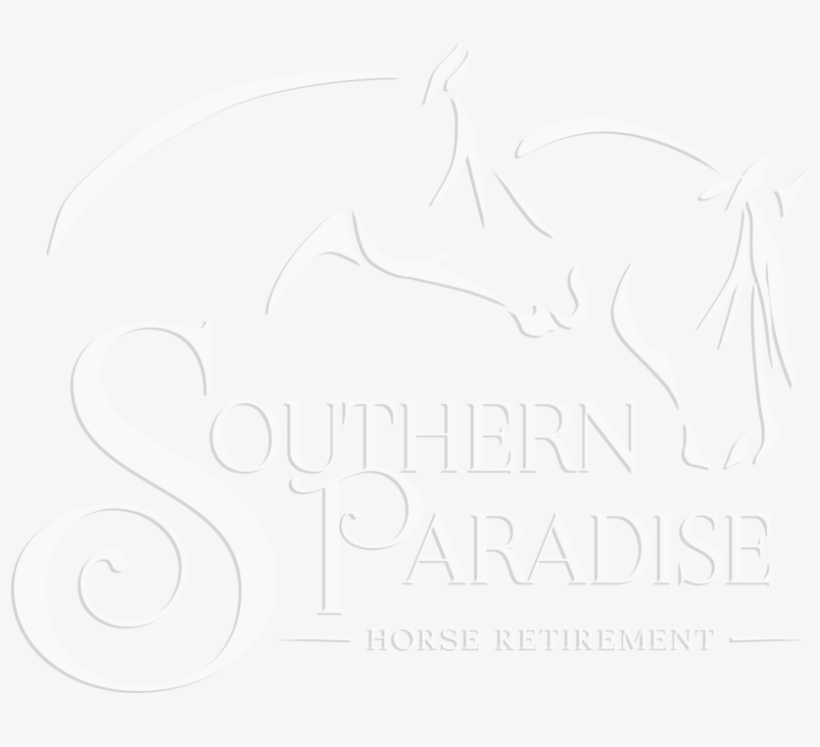 Drawing, transparent png download