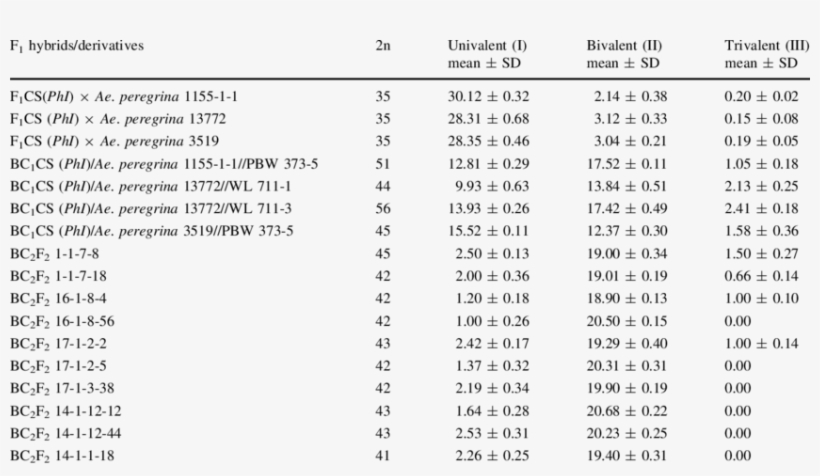 Chromosome Number And Pairing At Metaphase-i Of F 1 - Snow, transparent png download