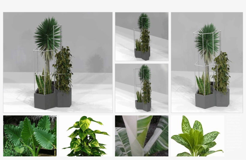 Low Res Overview Final Design Plant Systems-4, transparent png download