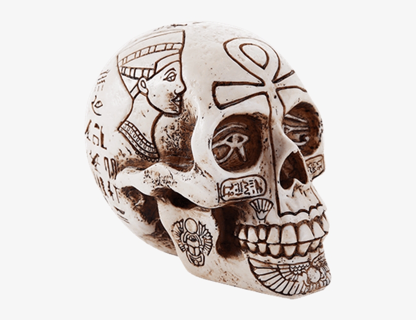 Egyptian Hieroglyph Skull Statue - Ancient Egyptian Inspired Nefertiti King Tut Ankh Skull, transparent png download