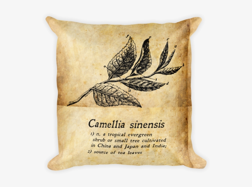Camellia Sinensis Tea Gift Pillow - Cushion, transparent png download