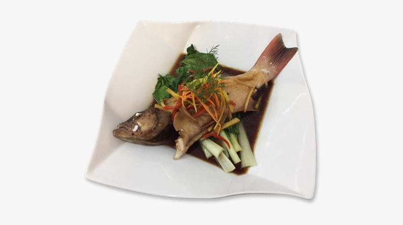 Chinese Steamed Grouper - Donatela Hotel, transparent png download