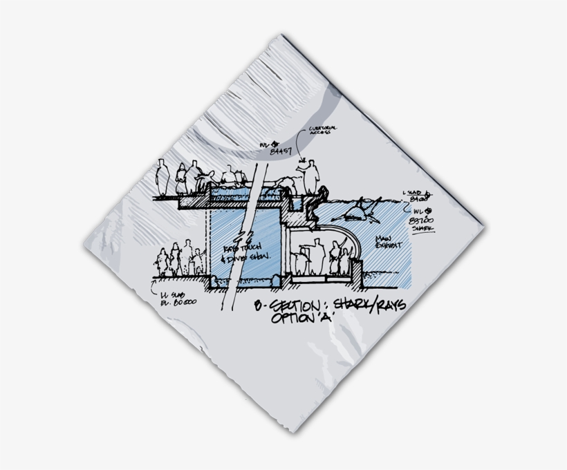 About - Diagram, transparent png download