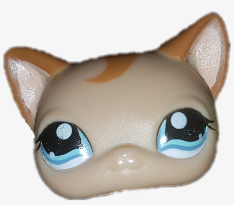 Sticker, transparent png download