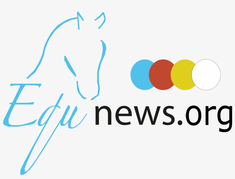 Partners - < - > - Equnews, transparent png download