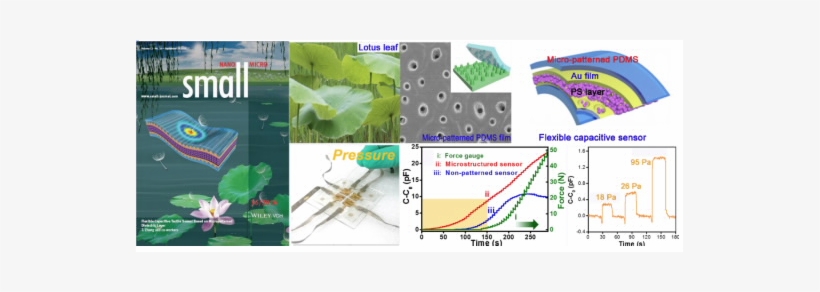 Progress In Flexible Capacitive Tactile Sensor - Sensor, transparent png download