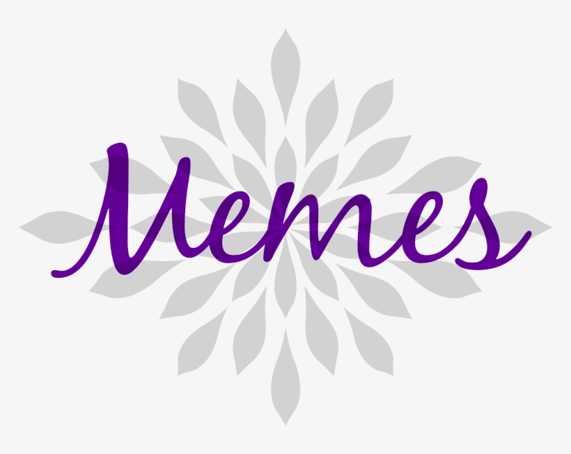 Stacking The Shelves - Special Moments Logo Gift Shop, transparent png download