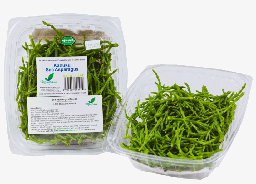 Fresh Sea - Salad, transparent png download