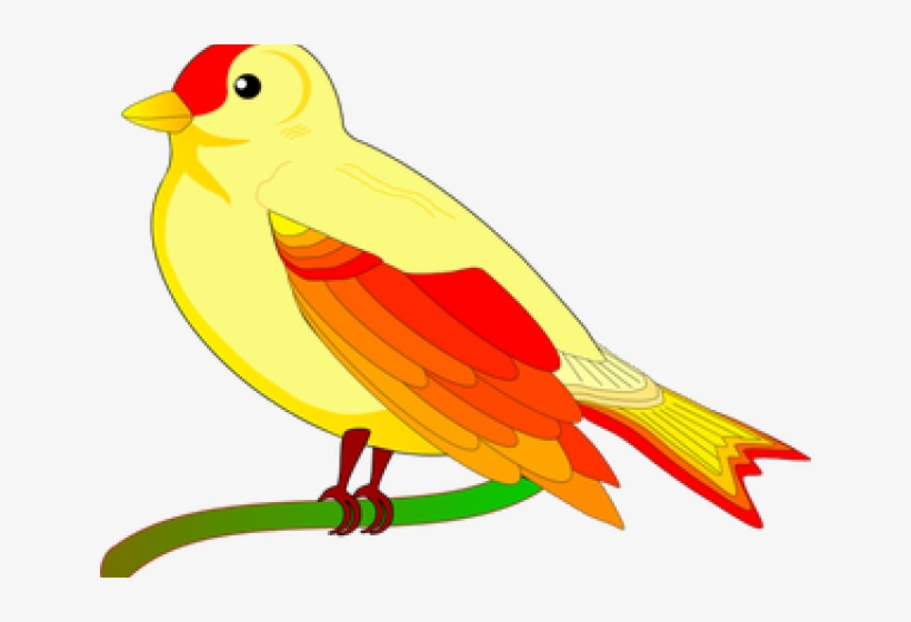 Sparrow Clipart Colorful - Identifying Big And Small, transparent png download