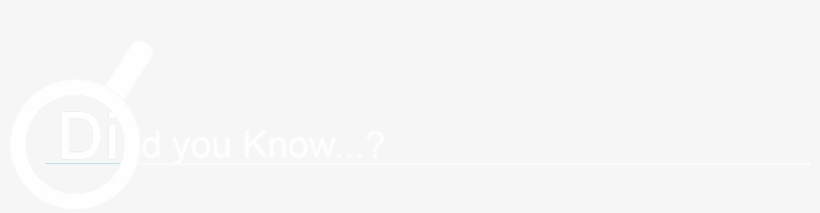 Portatext Llc - Ivory, transparent png download