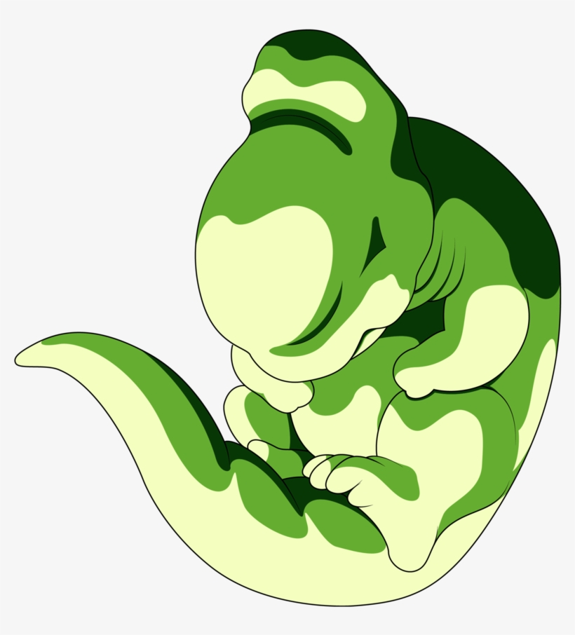 No Caption Provided - Cell Dragon Ball Z Larv, transparent png download