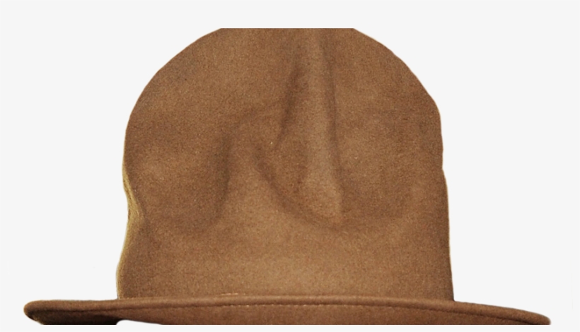 All Things Ducks, And Great And Terrible Truths - Beanie, transparent png download