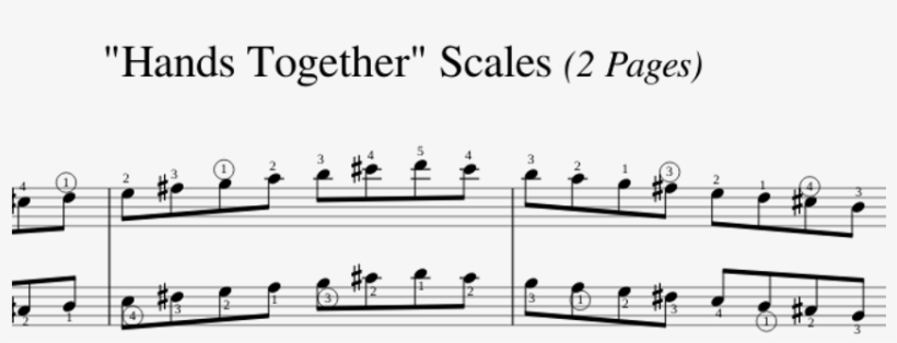 Anzca Grade 1 "hands Together" Scales Sheet Music For - Sheet Music, transparent png download