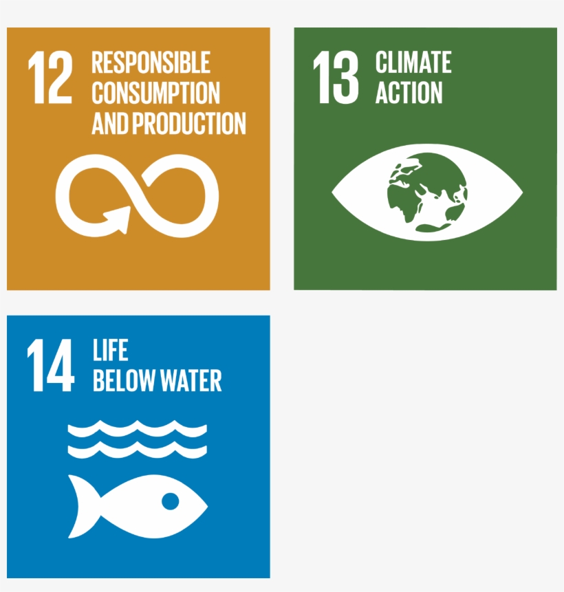 Global Goals, transparent png download