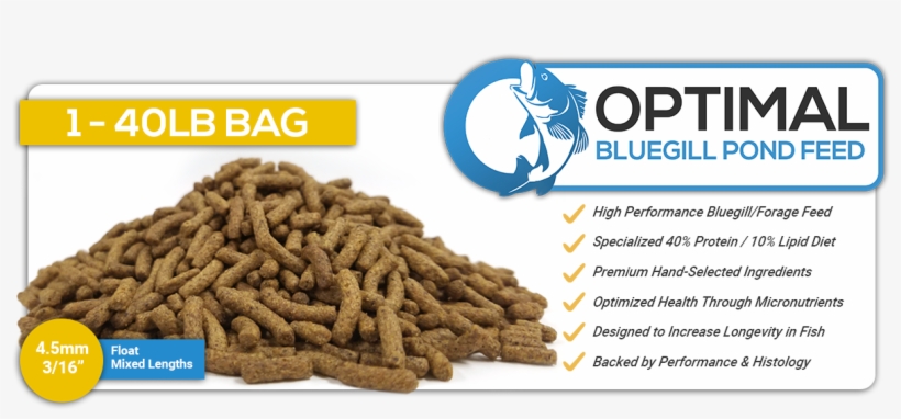 Bluegill Feed, transparent png download