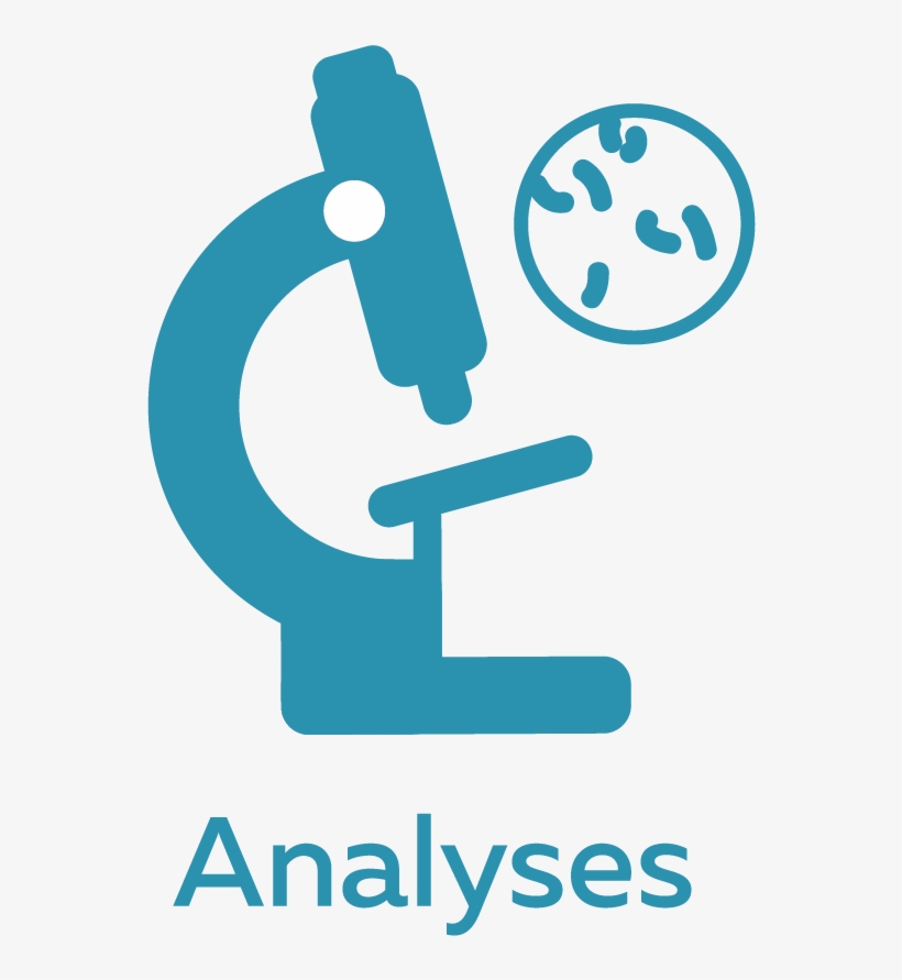Mes Analyses - Graphic Design, transparent png download