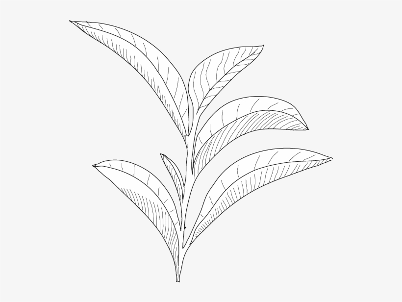Formulations - - Cosmetics, transparent png download