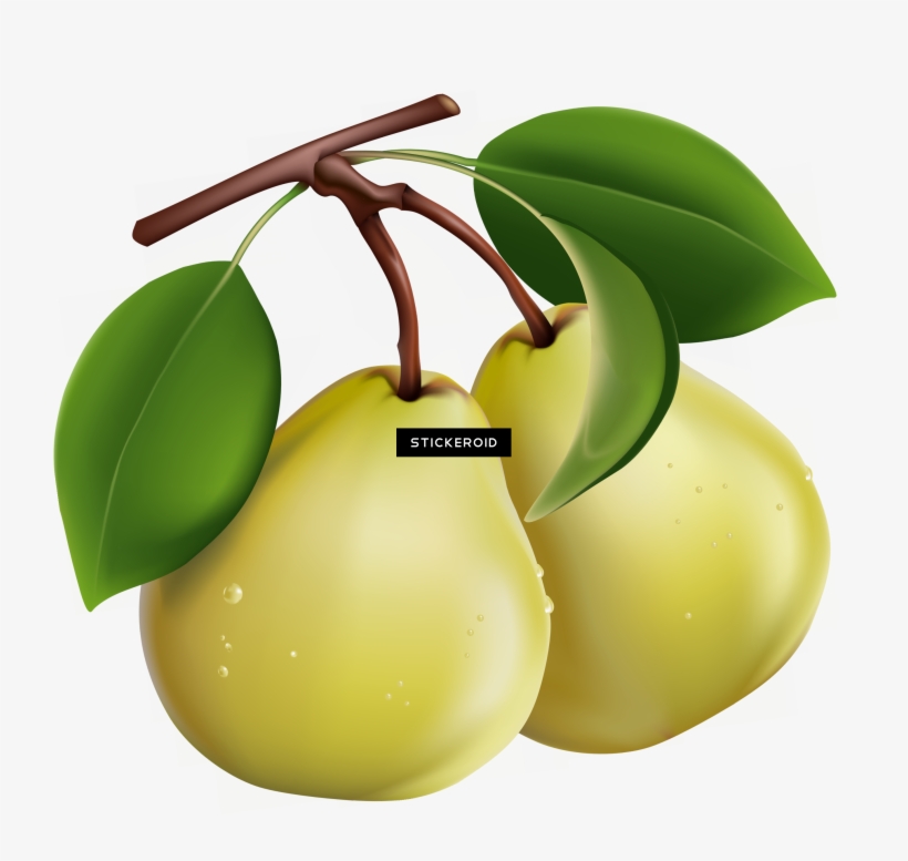 Pear - Blueberry Vector, transparent png download