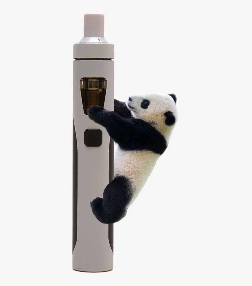 Panda 710 Is The Latest In Vape Elegance - Panda, transparent png download