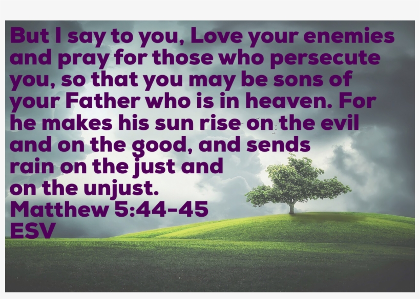 The Holy Spirit Pours Out Godly Love In The Hearts - Il Dio Dei Viventi [book], transparent png download