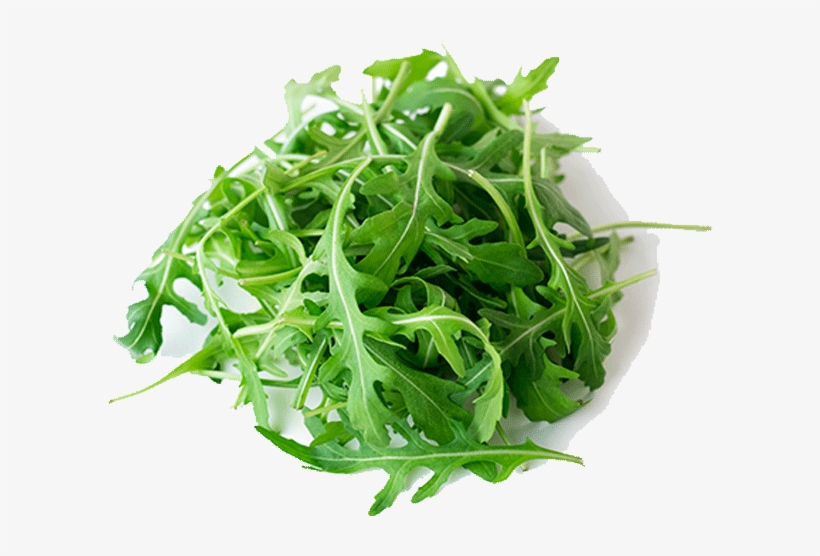 ‹ › - Celery, transparent png download