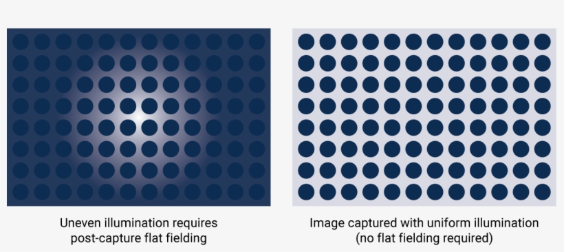 Flat Fielding Is A Post Capture Method To Correct For - Handmaid's Tale First Blood, transparent png download