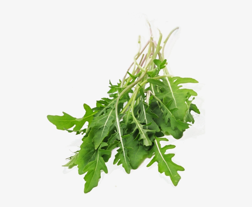Ruccola - Ruccola Png, transparent png download