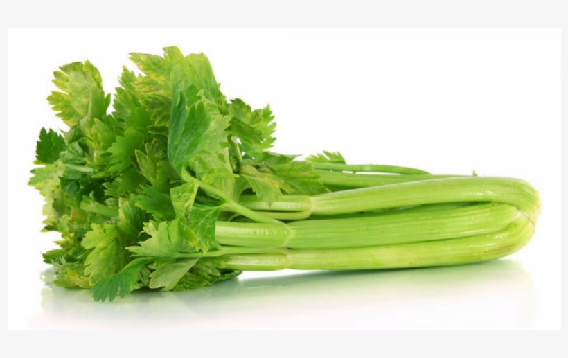 Fresh Celery, transparent png download