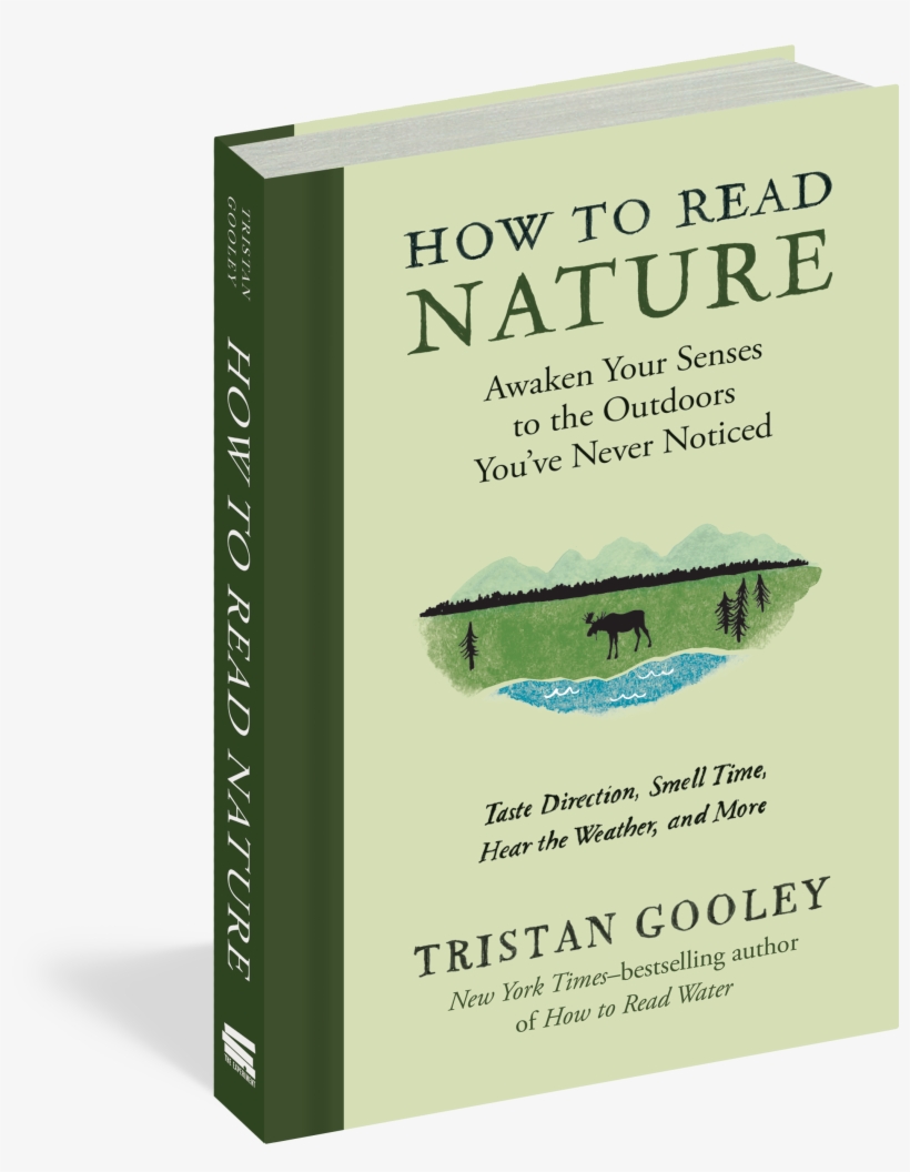 Read Nature: Awaken Your Senses D [book], transparent png download