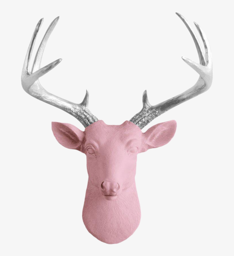 Freeuse Library Blossom Antler Pink Faux Head Mini - Mini Deer By Wall Charmers | White + Gold Antler Faux, transparent png download