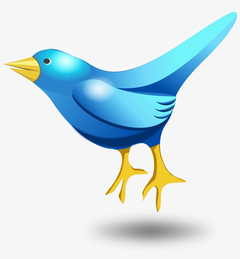 Bird Vector Png, transparent png download