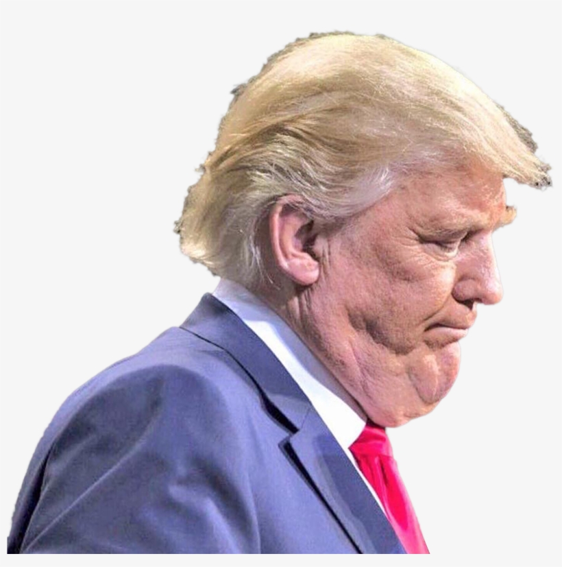Personunflattering Picture Of Donald Trump - People Who Look Like Bullfrogs, transparent png download