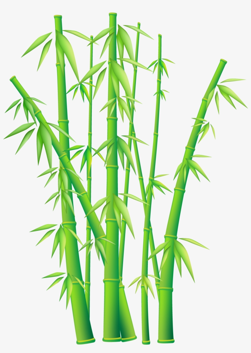 Bamboo Png Hd Transparent Bamboo Hd - Bamboo Clipart Png, transparent png download