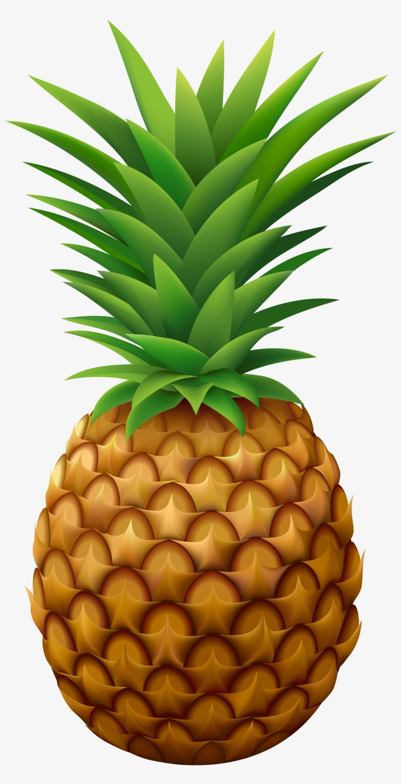 Pineapple Png Clipart, transparent png download