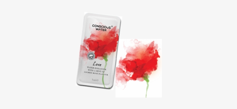 Homepage Collection - Conscious Water Company, transparent png download