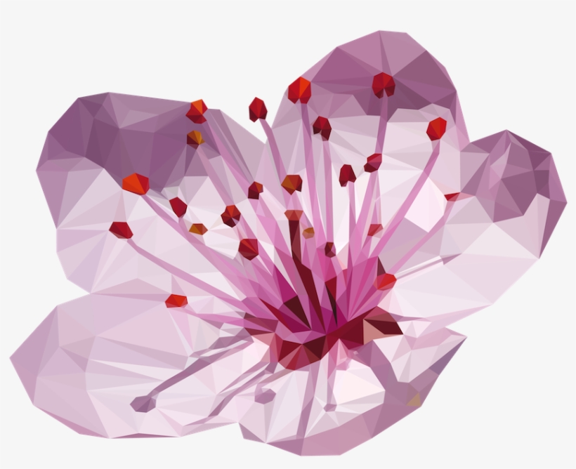 Cherry Blossom Flower Made Up Of 932 Triangles, Adobe - Plum Blossom Japanese Flowers, transparent png download