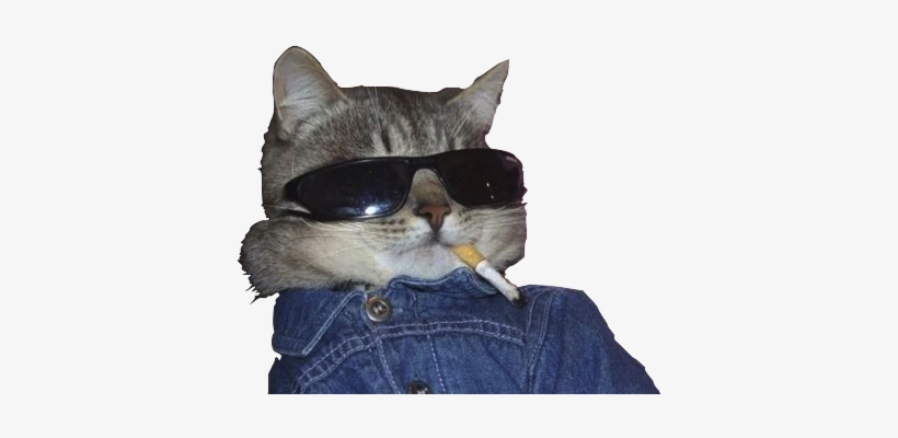 All Types Of Thug Life - Png Thug Life, transparent png download