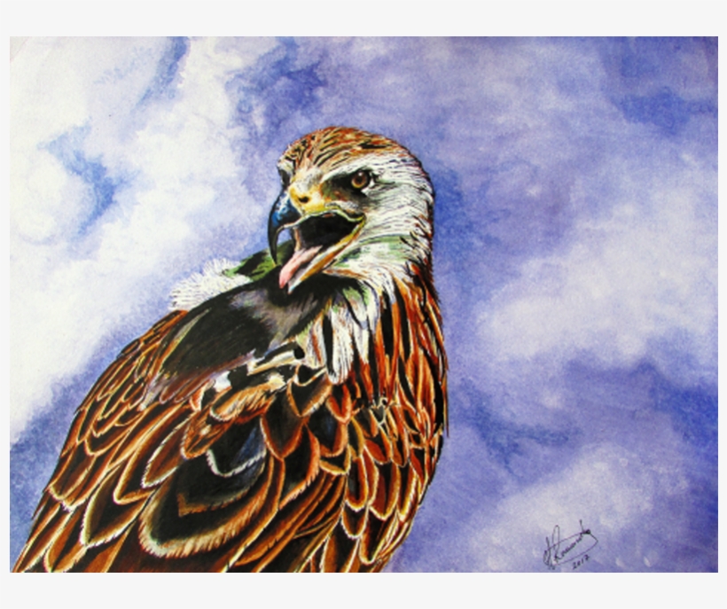 Golden Eagle, transparent png download