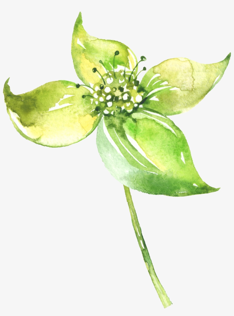 Watercolour - Watercolor Painting, transparent png download