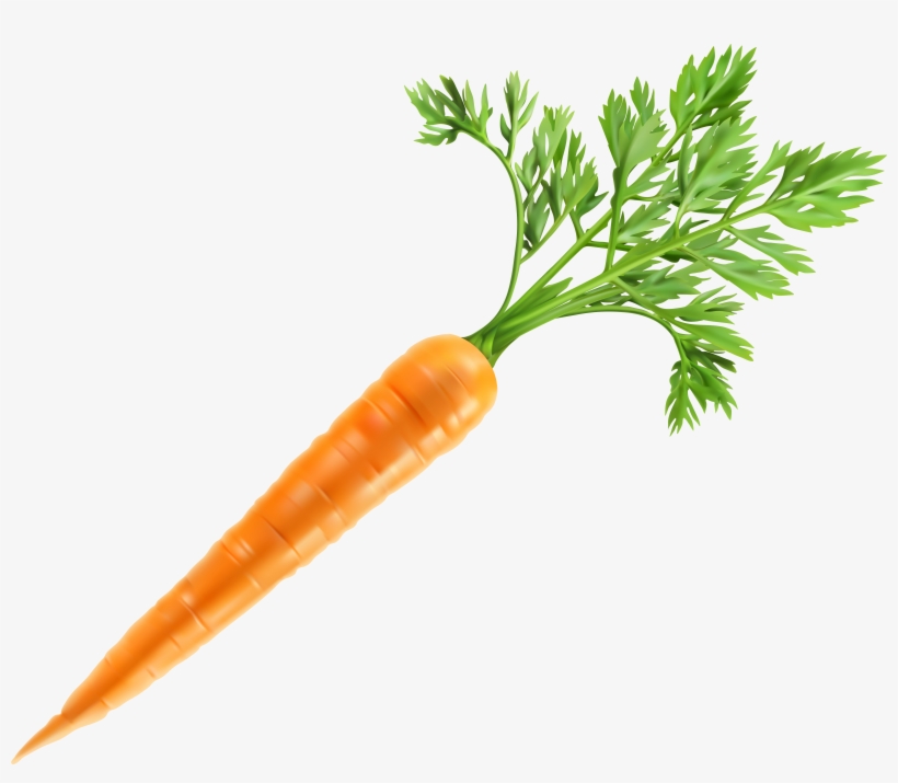 Carrot Png, transparent png download
