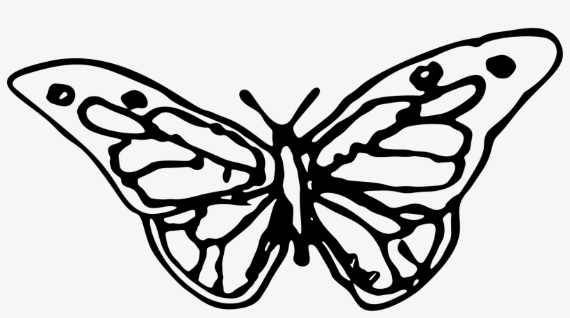 Drawn Butterfly Big - Hand Drawn Butterfly Png, transparent png download