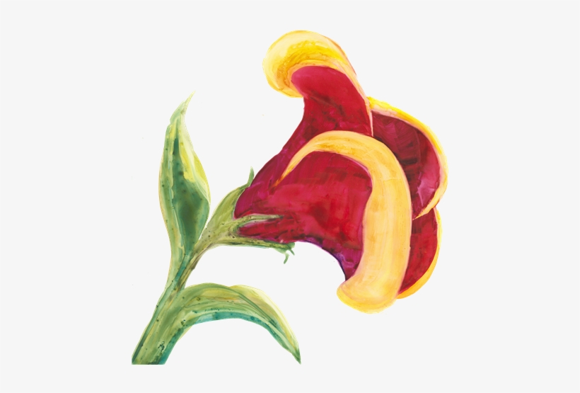Bryant Raises Her Paint Brush To Set A Beautiful Scene - Anthurium, transparent png download