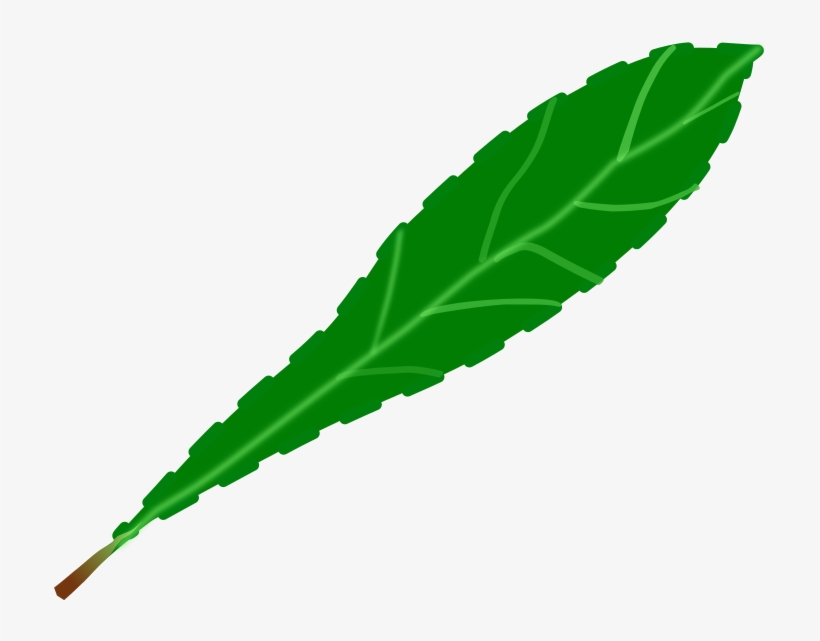 Drawing Leaf Computer Icons Green Watercolor Painting - Single Green Leaf Clip Art, transparent png download