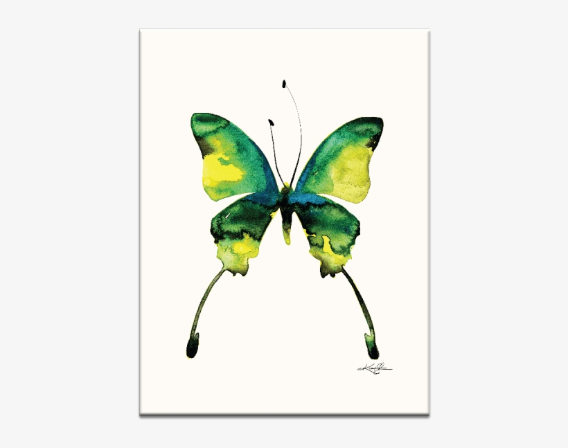 Home - Gerahmtes Leinwandbild Schmetterling 5 Artist Lane, transparent png download